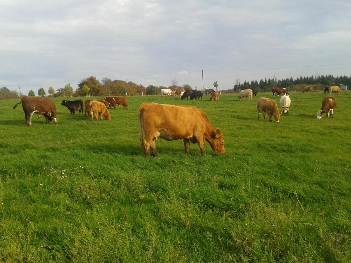 Ferienwohnung Scheid Lahr  ภายนอก รูปภาพ